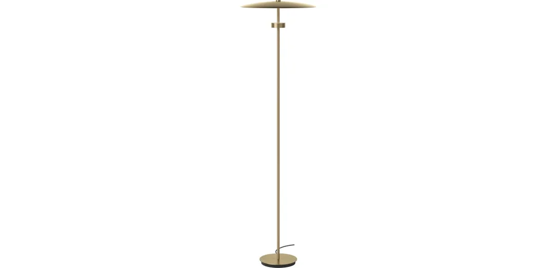 bolia881842