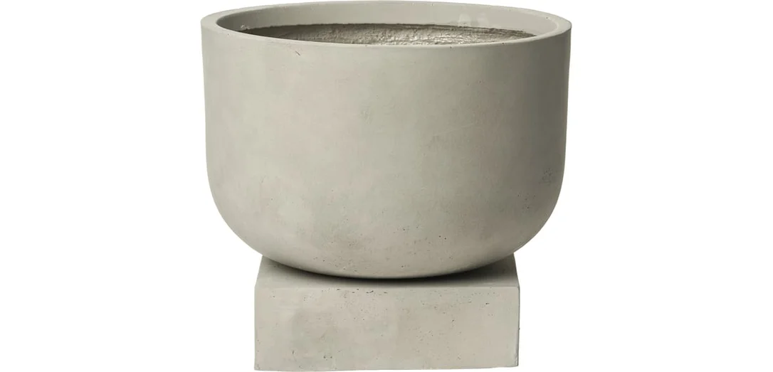 bolia881862