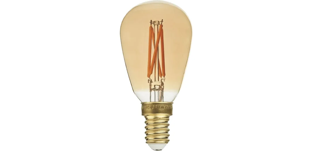 bolia889120
