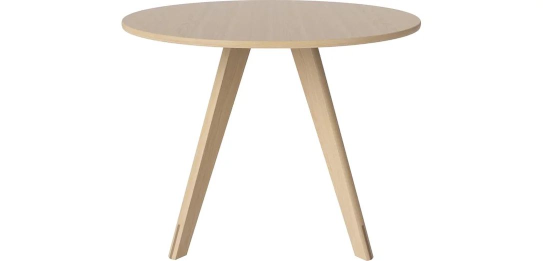 bolia899068