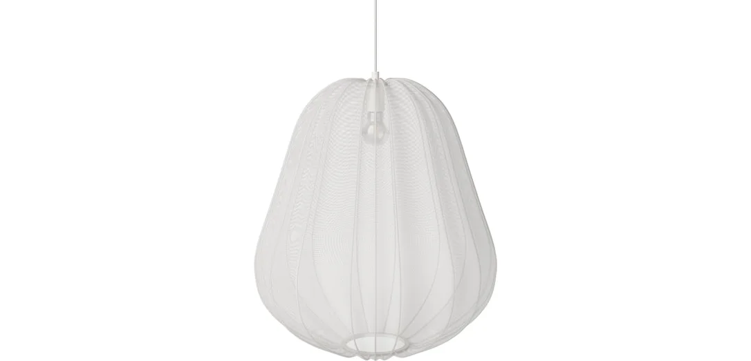 bolia906208